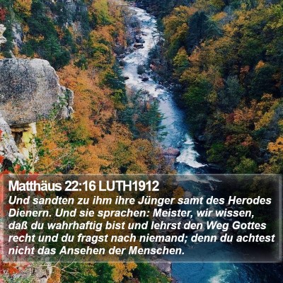 Matthäus 22:16 LUTH1912 Bible Verse Image