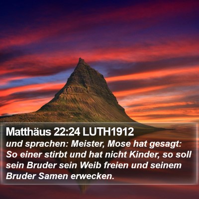 Matthäus 22:24 LUTH1912 Bible Verse Image