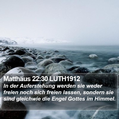 Matthäus 22:30 LUTH1912 Bible Verse Image