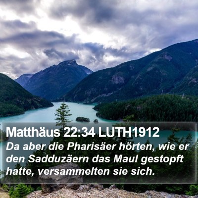 Matthäus 22:34 LUTH1912 Bible Verse Image