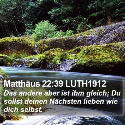 Matthäus 22:39 LUTH1912 Bible Verse Image