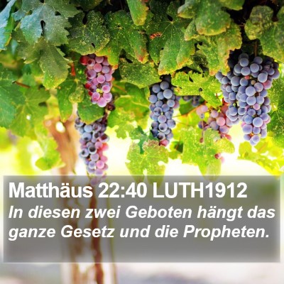 Matthäus 22:40 LUTH1912 Bible Verse Image