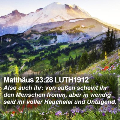 Matthäus 23:28 LUTH1912 Bible Verse Image