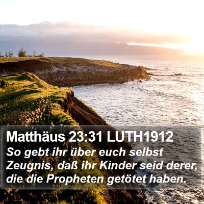 Matthäus 23:31 LUTH1912 Bible Verse Image