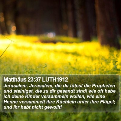Matthäus 23:37 LUTH1912 Bible Verse Image