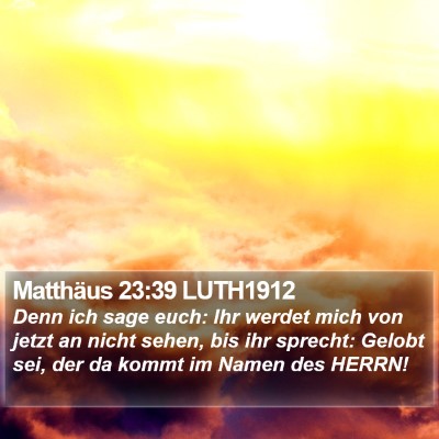 Matthäus 23:39 LUTH1912 Bible Verse Image