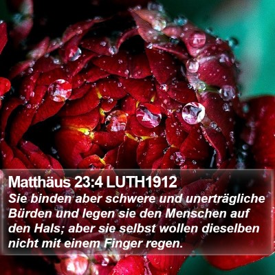 Matthäus 23:4 LUTH1912 Bible Verse Image