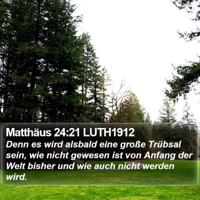 Matthäus 24:21 LUTH1912 Bible Verse Image