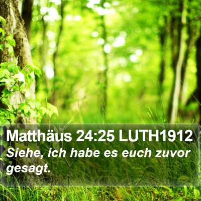 Matthäus 24:25 LUTH1912 Bible Verse Image