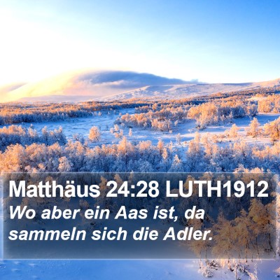 Matthäus 24:28 LUTH1912 Bible Verse Image