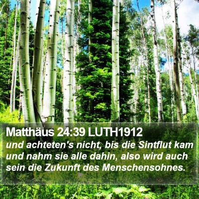 Matthäus 24:39 LUTH1912 Bible Verse Image
