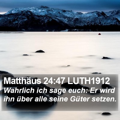 Matthäus 24:47 LUTH1912 Bible Verse Image