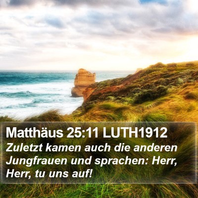 Matthäus 25:11 LUTH1912 Bible Verse Image