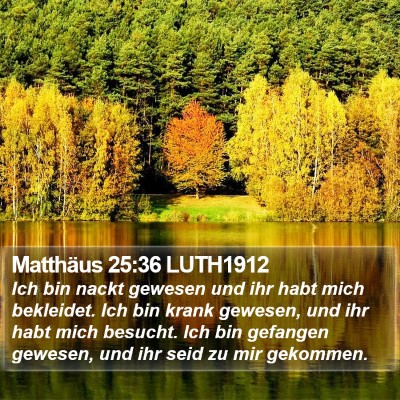 Matthäus 25:36 LUTH1912 Bible Verse Image
