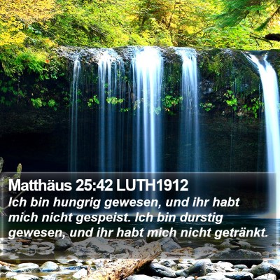 Matthäus 25:42 LUTH1912 Bible Verse Image