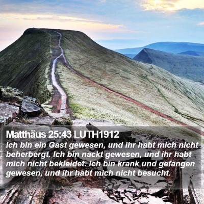 Matthäus 25:43 LUTH1912 Bible Verse Image