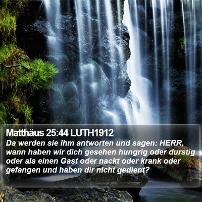 Matthäus 25:44 LUTH1912 Bible Verse Image