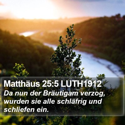Matthäus 25:5 LUTH1912 Bible Verse Image