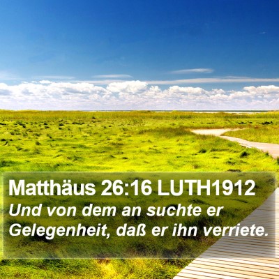 Matthäus 26:16 LUTH1912 Bible Verse Image
