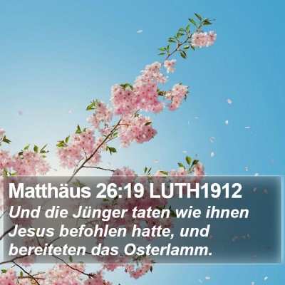 Matthäus 26:19 LUTH1912 Bible Verse Image