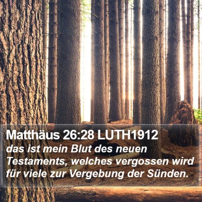 Matthäus 26:28 LUTH1912 Bible Verse Image