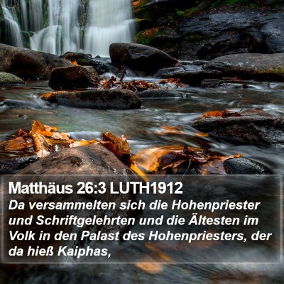 Matthäus 26:3 LUTH1912 Bible Verse Image