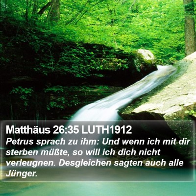 Matthäus 26:35 LUTH1912 Bible Verse Image