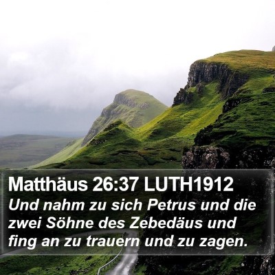 Matthäus 26:37 LUTH1912 Bible Verse Image