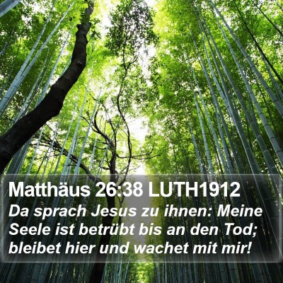 Matthäus 26:38 LUTH1912 Bible Verse Image