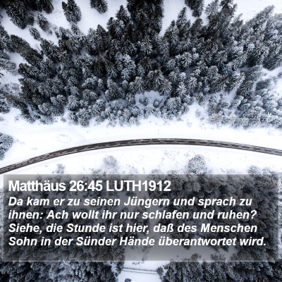 Matthäus 26:45 LUTH1912 Bible Verse Image