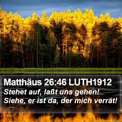 Matthäus 26:46 LUTH1912 Bible Verse Image