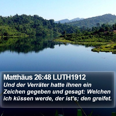 Matthäus 26:48 LUTH1912 Bible Verse Image