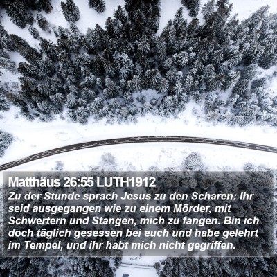 Matthäus 26:55 LUTH1912 Bible Verse Image