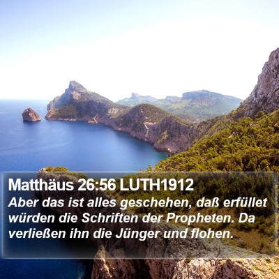 Matthäus 26:56 LUTH1912 Bible Verse Image