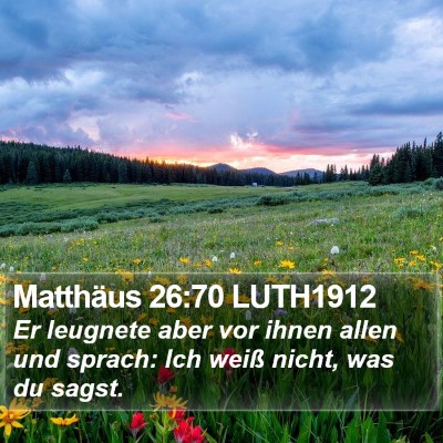 Matthäus 26:70 LUTH1912 Bible Verse Image