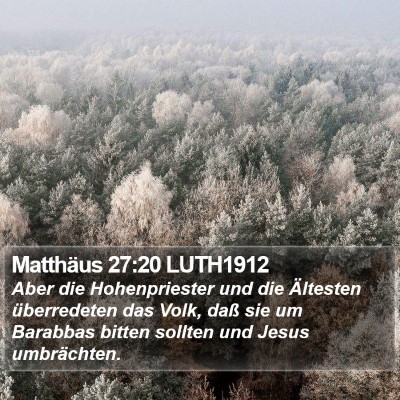 Matthäus 27:20 LUTH1912 Bible Verse Image