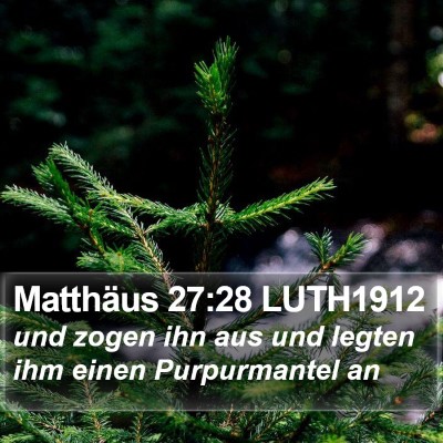 Matthäus 27:28 LUTH1912 Bible Verse Image