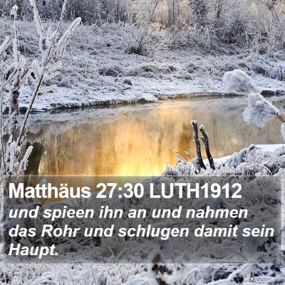 Matthäus 27:30 LUTH1912 Bible Verse Image