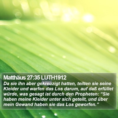 Matthäus 27:35 LUTH1912 Bible Verse Image
