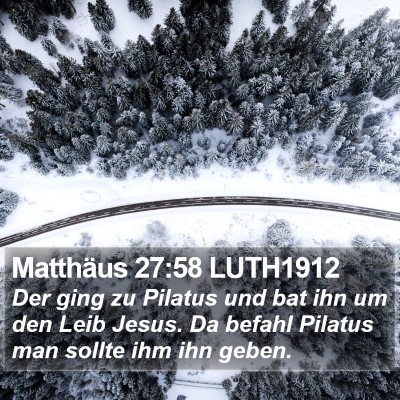 Matthäus 27:58 LUTH1912 Bible Verse Image