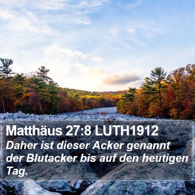 Matthäus 27:8 LUTH1912 Bible Verse Image
