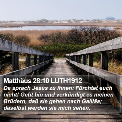 Matthäus 28:10 LUTH1912 Bible Verse Image