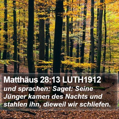 Matthäus 28:13 LUTH1912 Bible Verse Image