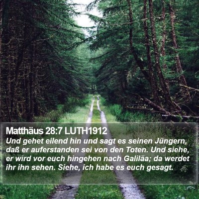 Matthäus 28:7 LUTH1912 Bible Verse Image