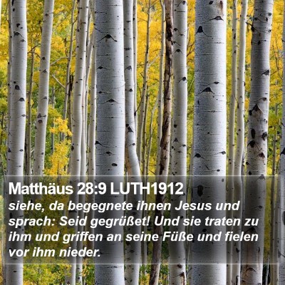 Matthäus 28:9 LUTH1912 Bible Verse Image