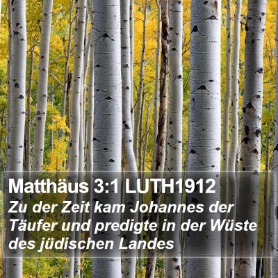 Matthäus 3:1 LUTH1912 Bible Verse Image