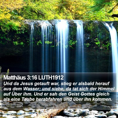 Matthäus 3:16 LUTH1912 Bible Verse Image