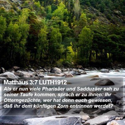 Matthäus 3:7 LUTH1912 Bible Verse Image