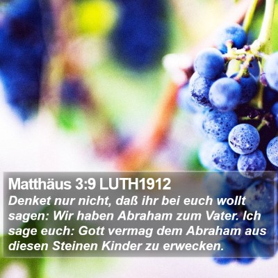 Matthäus 3:9 LUTH1912 Bible Verse Image