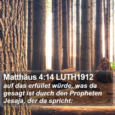 Matthäus 4:14 LUTH1912 Bible Verse Image